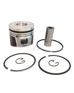 Πιστόνι για HATZ 1D81, 1D81C EPA 4 Diesel μηχανές (100mm) [#01313542]